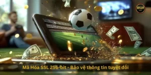 Mã Hóa SSL 256-bit - Bảo vệ thông tin tuyệt đối